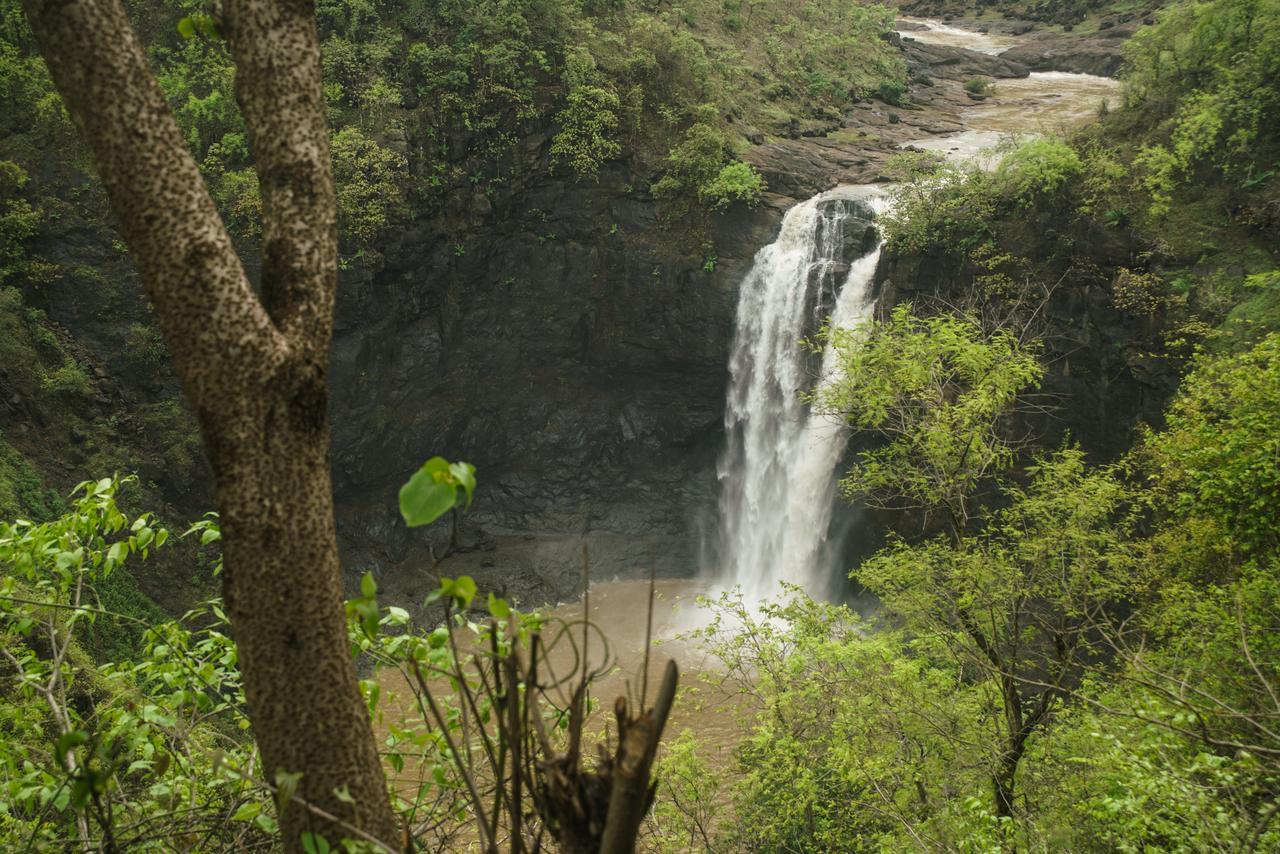 Birjpara Sterling Nature Trails Dabhosa , Jawahar מראה חיצוני תמונה