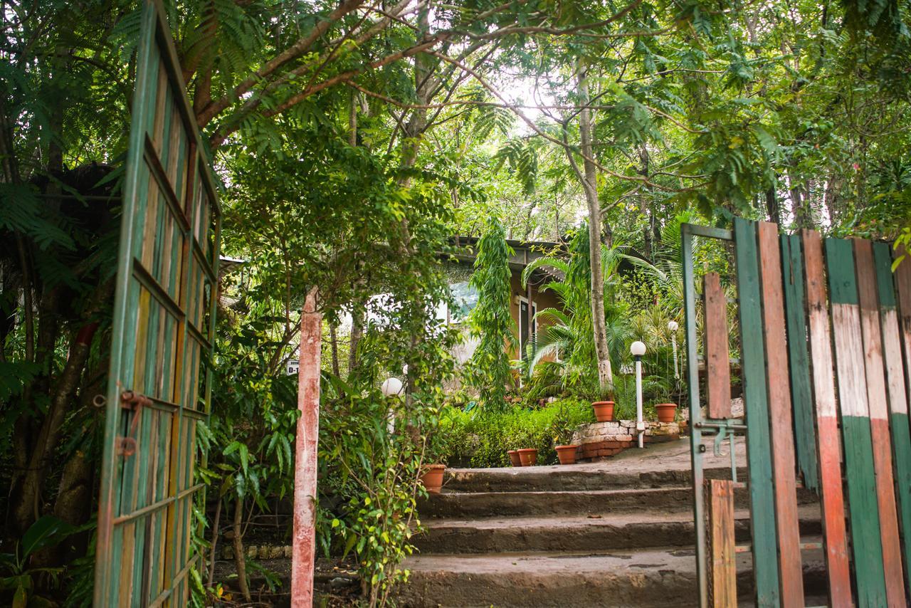 Birjpara Sterling Nature Trails Dabhosa , Jawahar מראה חיצוני תמונה